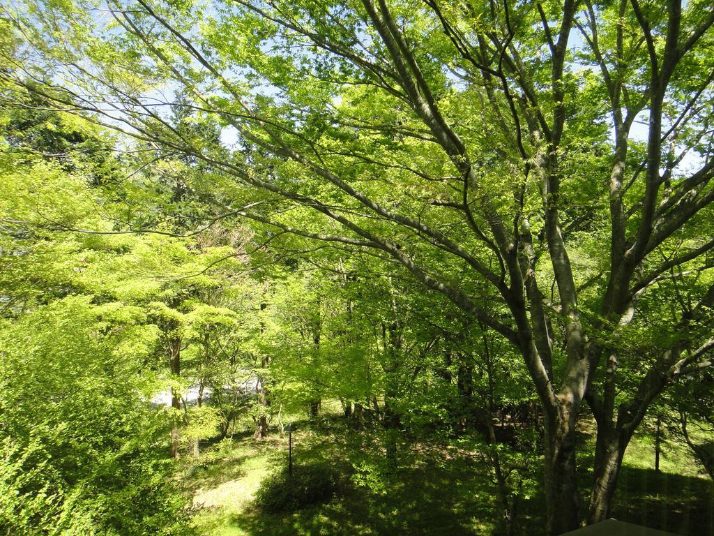 Top Resort Hakone Onsen Goku No Yado Exterior foto